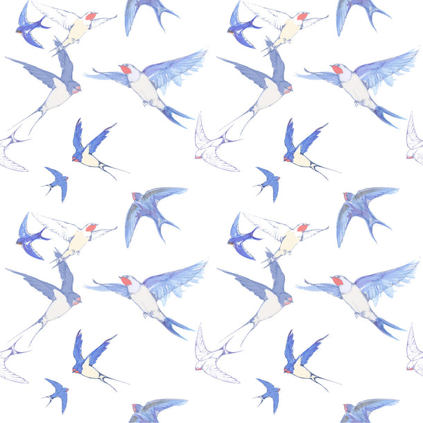 White Swallows