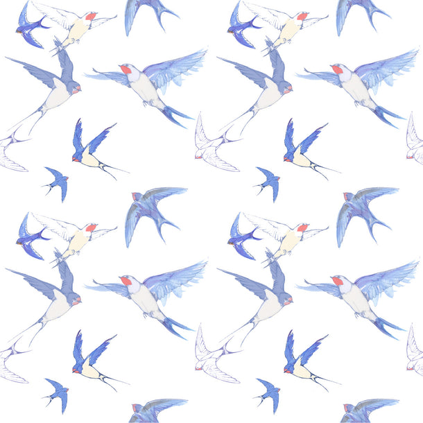 White Swallows