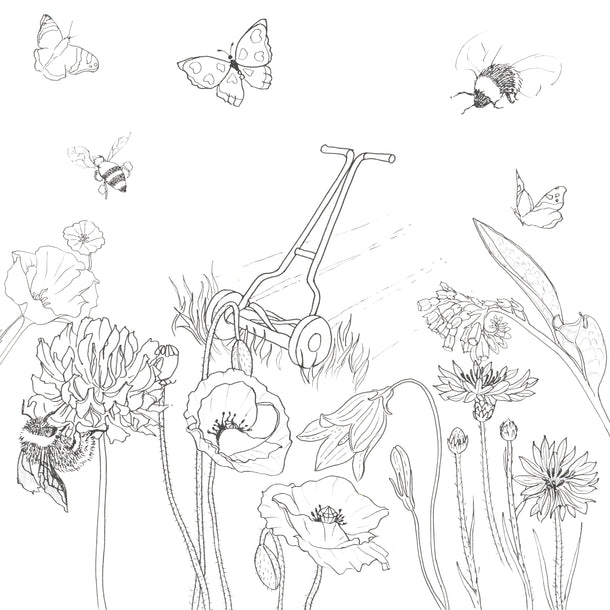 Dudleys Garden Colouring Book