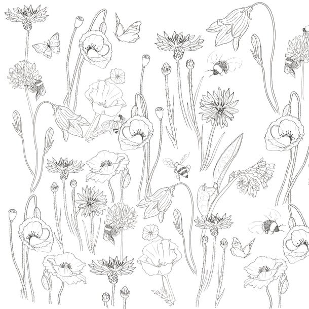 Dudleys Garden Colouring Book