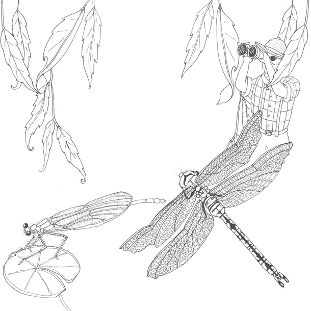 Dudleys Garden Colouring Book