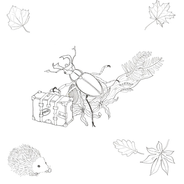 Dudleys Garden Colouring Book