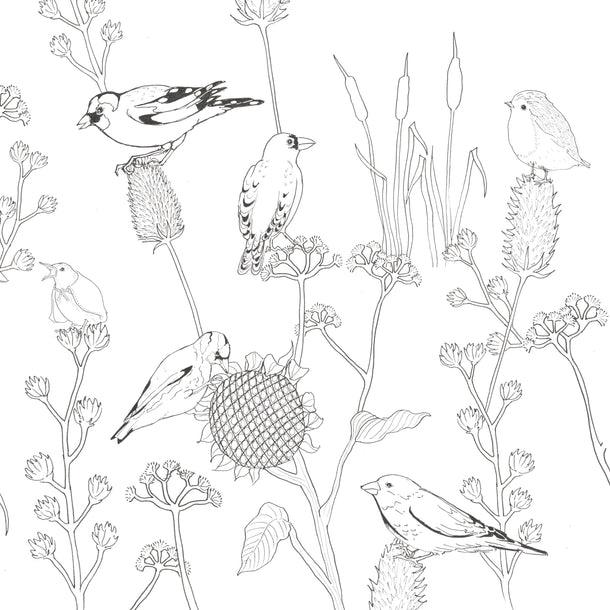 Dudleys Garden Colouring Book