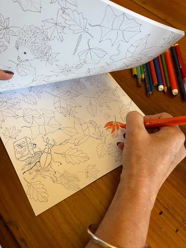 Dudleys Garden Colouring Book