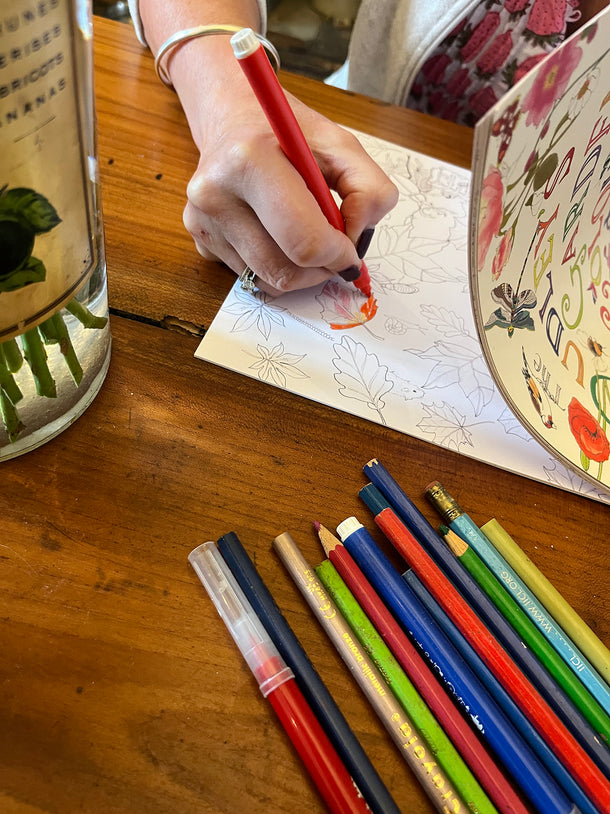 Dudleys Garden Colouring Book