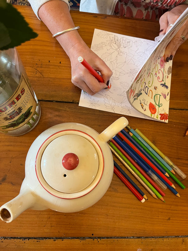 Dudleys Garden Colouring Book