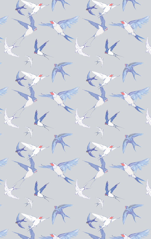 Grey Swallows